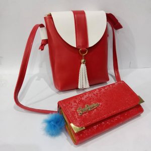 Purse-bag