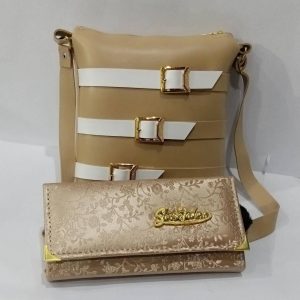 Purse-bag