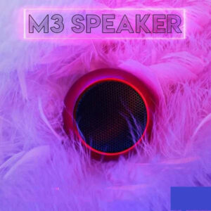 Speaker