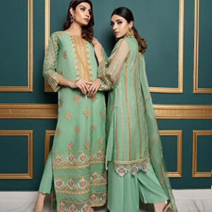 Norans-Chiffon-Embroidered-Suit